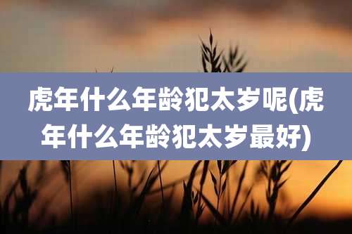 虎年什么年龄犯太岁呢(虎年什么年龄犯太岁最好)