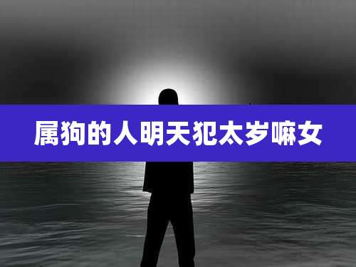 属狗的人明天犯太岁嘛女