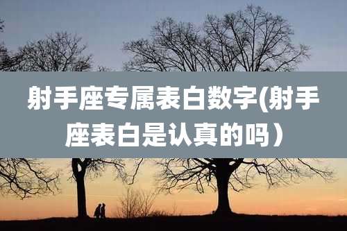 射手座专属表白数字(射手座表白是认真的吗)