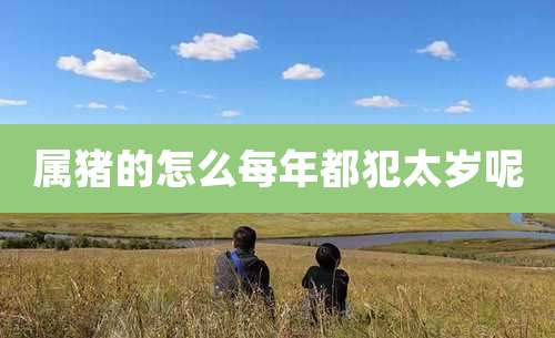 属猪的怎么每年都犯太岁呢