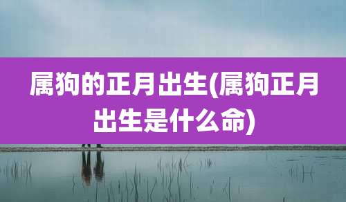 属狗的正月出生(属狗正月出生是什么命)