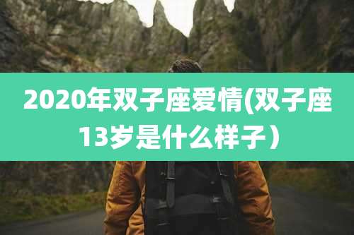 2020年双子座爱情(双子座13岁是什么样子)