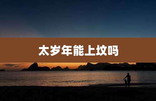 太岁年能上坟吗