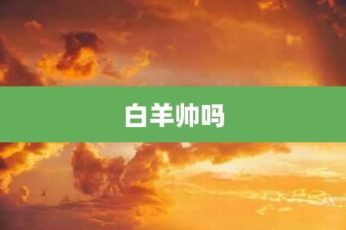 白羊帅吗