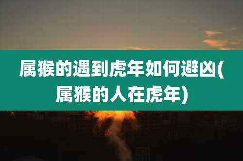 属猴的遇到虎年如何避凶(属猴的人在虎年)