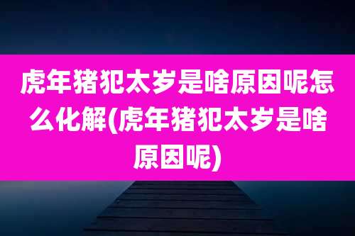 虎年猪犯太岁是啥原因呢怎么化解(虎年猪犯太岁是啥原因呢)