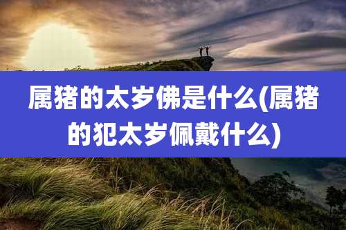 属猪的太岁佛是什么(属猪的犯太岁佩戴什么)