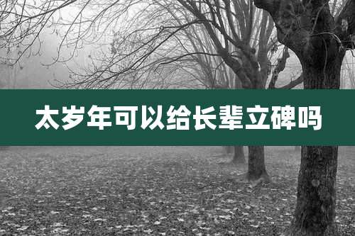 太岁年可以给长辈立碑吗