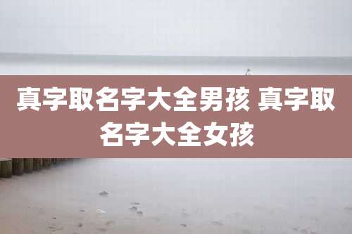 真字取名字大全男孩 真字取名字大全女孩
