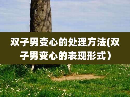 双子男变心的处理方法(双子男变心的表现形式)