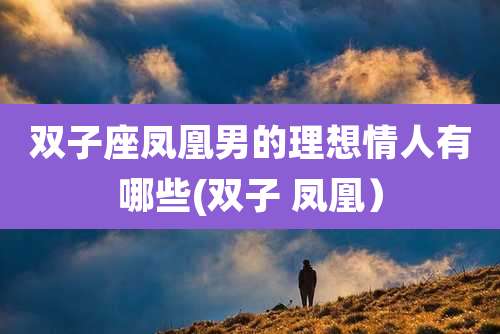 双子座凤凰男的理想情人有哪些(双子 凤凰)