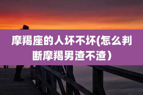 摩羯座的人坏不坏(怎么判断摩羯男渣不渣)