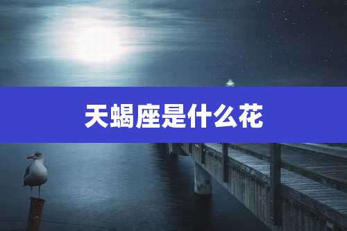 天蝎座是什么花