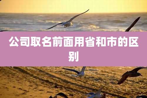 公司取名前面用省和市的区别