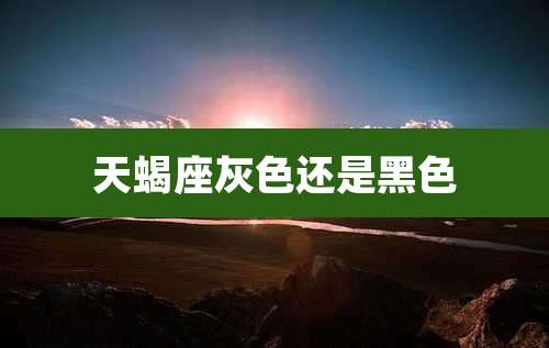 天蝎座灰色还是黑色