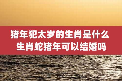 猪年犯太岁的生肖是什么 生肖蛇猪年可以结婚吗