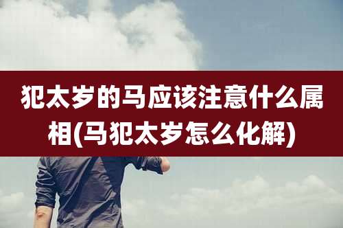犯太岁的马应该注意什么属相(马犯太岁怎么化解)