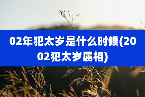 02年犯太岁是什么时候(2002犯太岁属相)