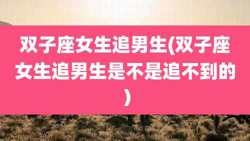 双子座女生追男生(双子座女生追男生是不是追不到的）