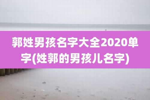 郭姓男孩名字大全2020单字(姓郭的男孩儿名字)