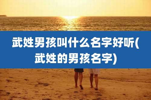 武姓男孩叫什么名字好听(武姓的男孩名字)