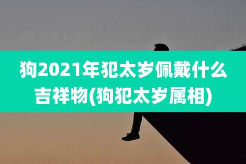 狗2021年犯太岁佩戴什么吉祥物(狗犯太岁属相)