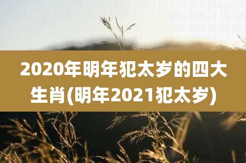 2020年明年犯太岁的四大生肖(明年2021犯太岁)
