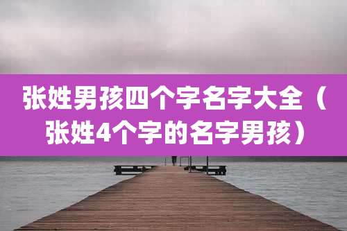 张姓男孩四个字名字大全(张姓4个字的名字男孩)