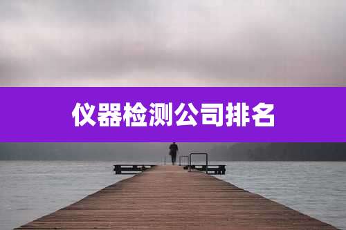 仪器检测公司排名