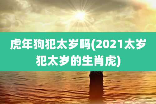 虎年狗犯太岁吗(2021太岁犯太岁的生肖虎)