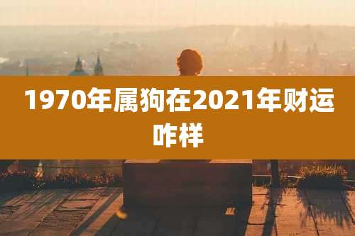 1970年属狗在2021年财运咋样