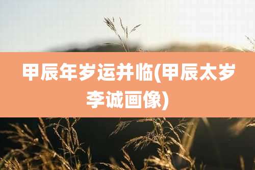 甲辰年岁运并临(甲辰太岁李诚画像)