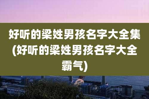 好听的梁姓男孩名字大全集(好听的梁姓男孩名字大全霸气)