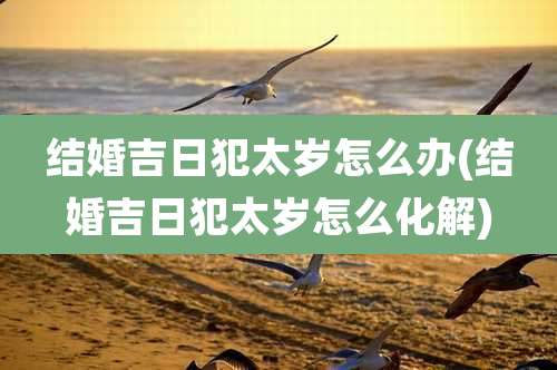结婚吉日犯太岁怎么办(结婚吉日犯太岁怎么化解)