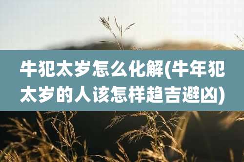 牛犯太岁怎么化解(牛年犯太岁的人该怎样趋吉避凶)