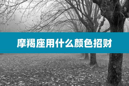 摩羯座用什么颜色招财