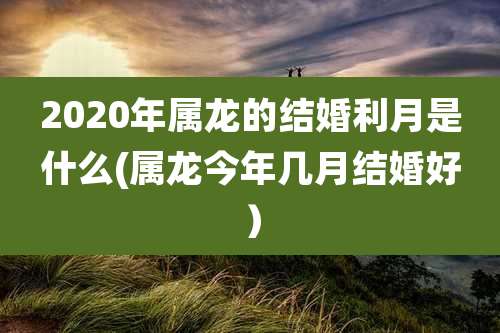 2020年属龙的结婚利月是什么(属龙今年几月结婚好)