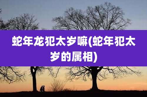 蛇年龙犯太岁嘛(蛇年犯太岁的属相)