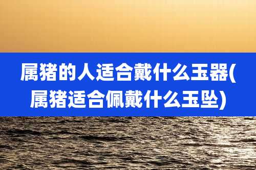 属猪的人适合戴什么玉器(属猪适合佩戴什么玉坠)