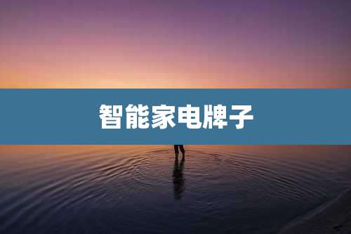 智能家电牌子