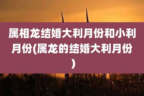 属相龙结婚大利月份和小利月份(属龙的结婚大利月份)