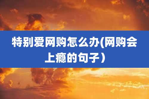 特别爱网购怎么办(网购会上瘾的句子）