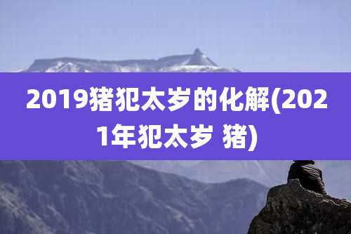 2019猪犯太岁的化解(2021年犯太岁 猪)