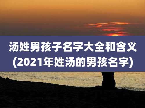 汤姓男孩子名字大全和含义(2021年姓汤的男孩名字)
