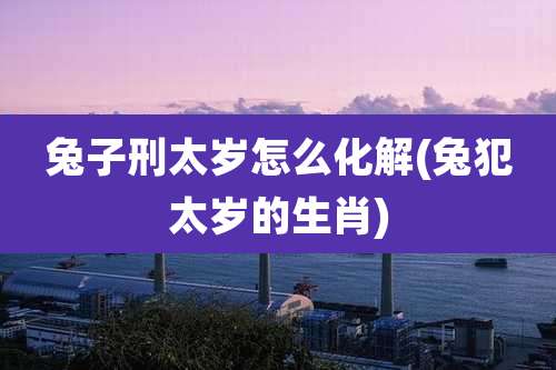 兔子刑太岁怎么化解(兔犯太岁的生肖)