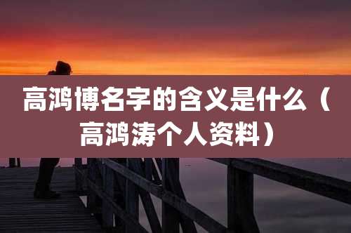 高鸿博名字的含义是什么(高鸿涛个人资料)