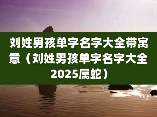 刘姓男孩单字名字大全带寓意（刘姓男孩单字名字大全2025属蛇）