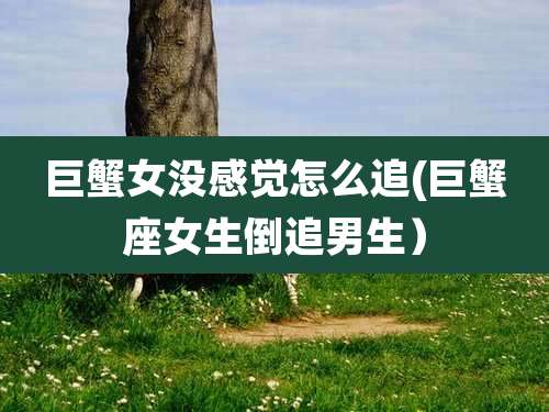 巨蟹女没感觉怎么追(巨蟹座女生倒追男生)