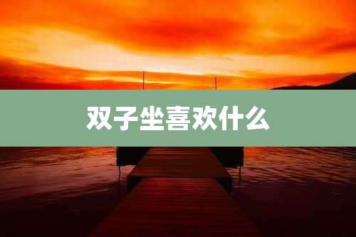 双子坐喜欢什么