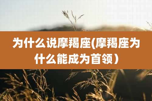 为什么说摩羯座(摩羯座为什么能成为首领)